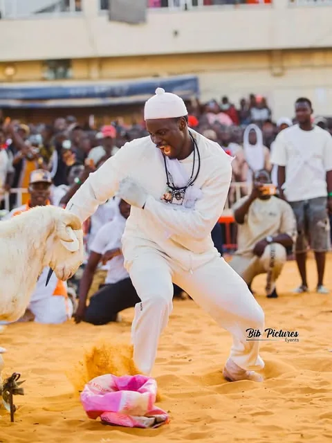 Danse traditionnelle dans l'arène, devant la foule.